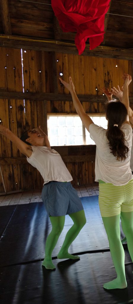 vertical through red fabricforweb vertical through red fabricforweb