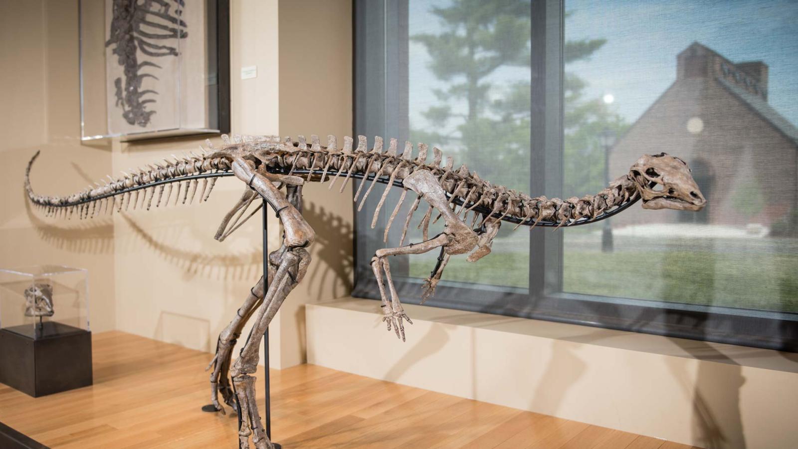 2015 0526 beneski museum of natural history jg 067 1920px